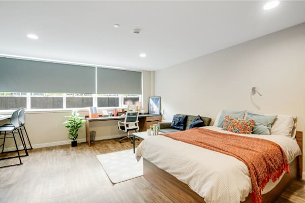 Deluxe Studio room type